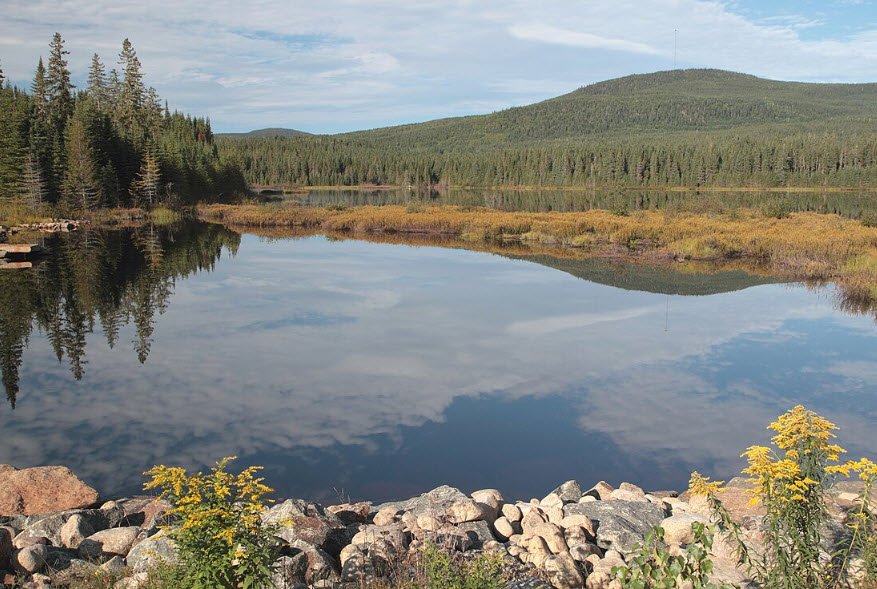 Arboretum de Montmorency , , France